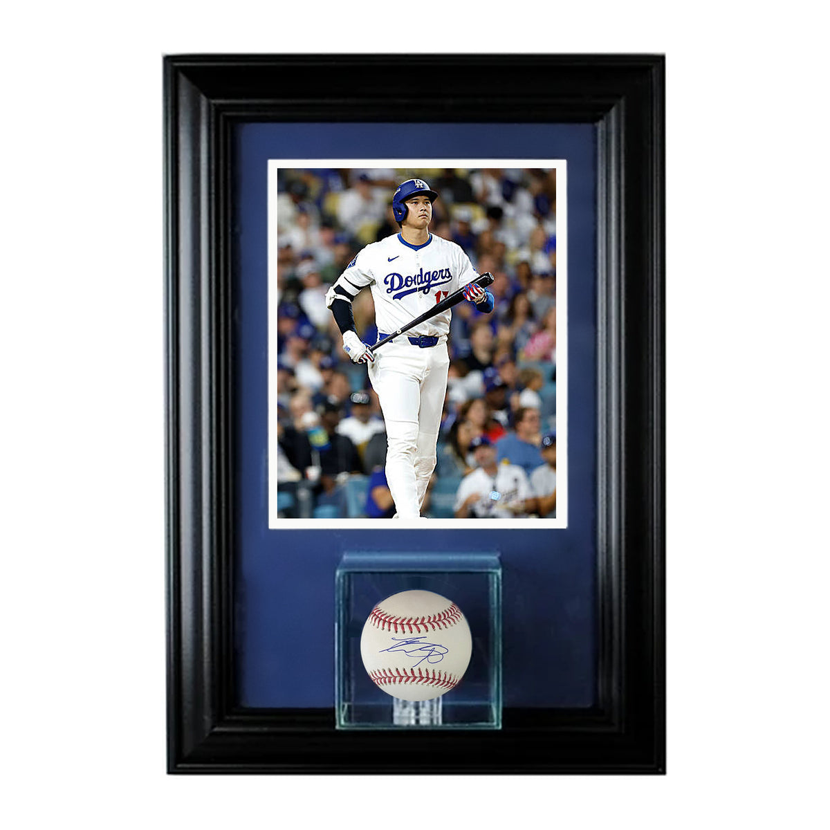 Shohei Ohtani signed baseball in a glass cube, custom framed with a photo of Ohtani in Dodgers home whites, black frame, navy mat